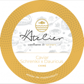 Caviar Schrenkii x Dauricus