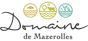 Domaine de Mazerolles - Petit-Mars