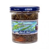 Salicorne au vinaigre et aux aromates Bio